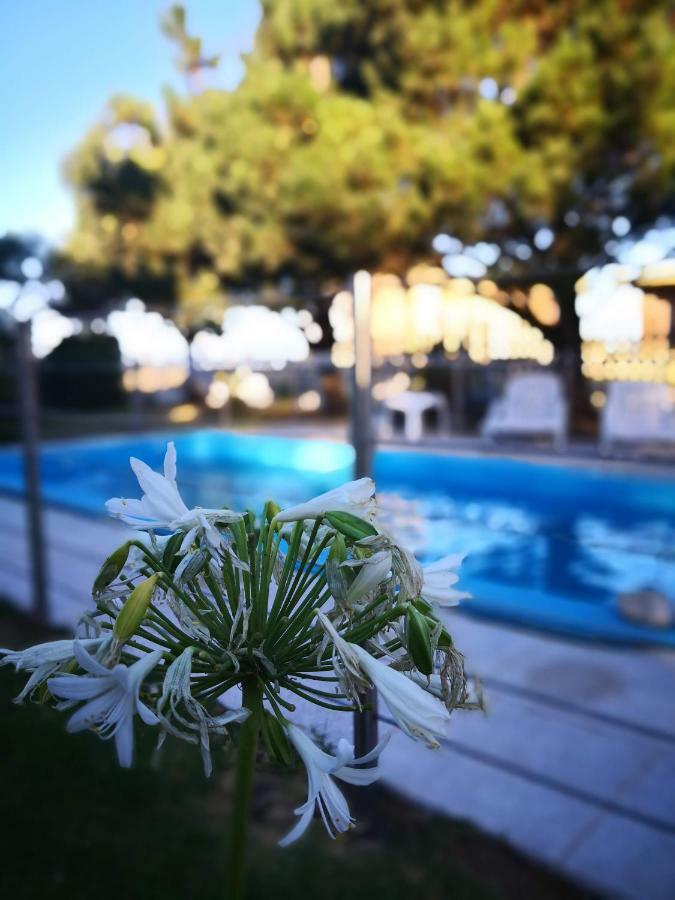 Сasa de vacaciones Cabaña El Rancho De Chatran *